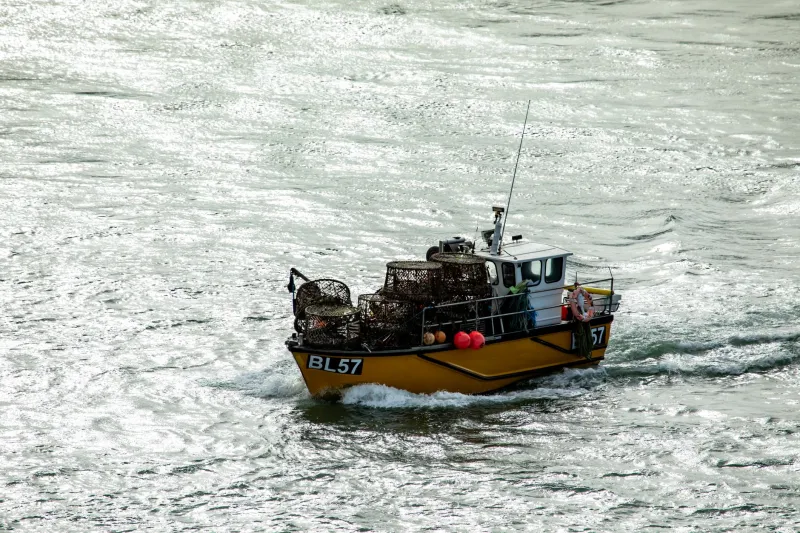 Salt, Nets and Stubbornness: The Cornish Fisherman Who Won't Let the Old Ways Sink