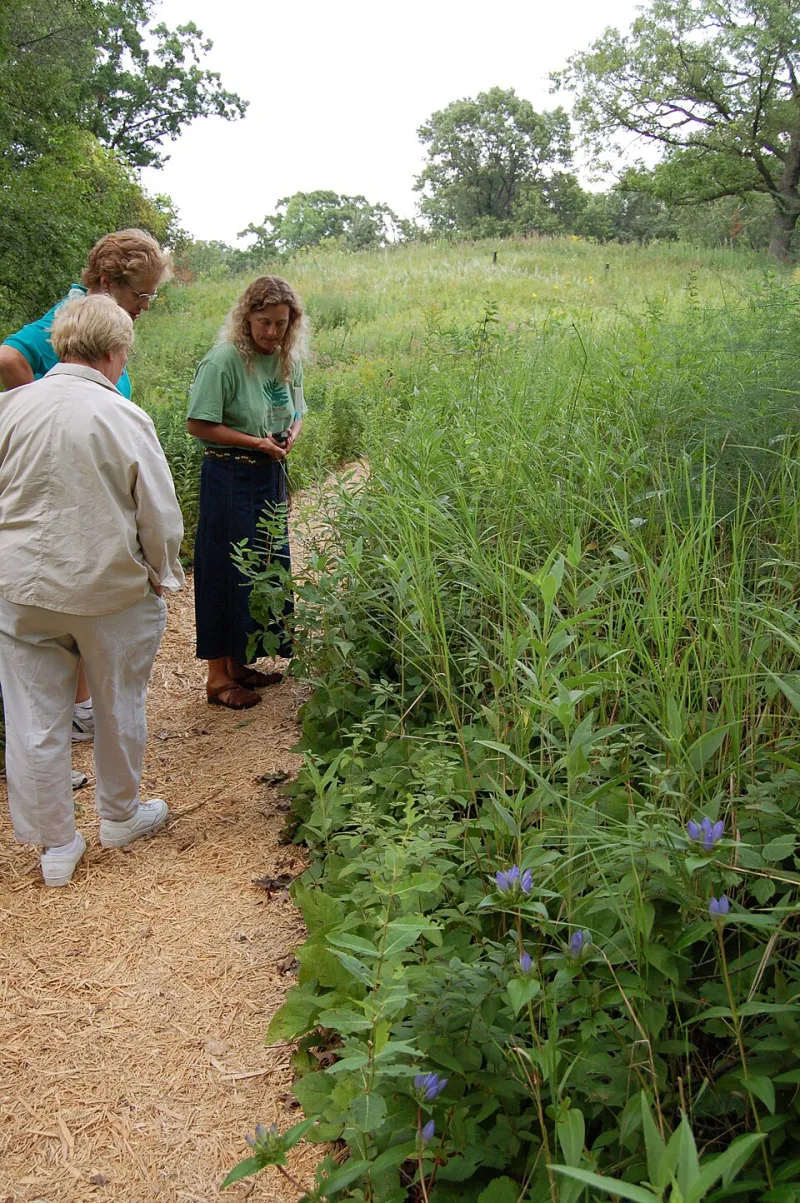 Let It Go Wild: The West Country Gardeners Tearing Up the Rulebook One Lawn at a Time